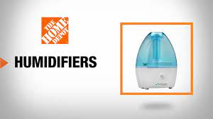 best humidifier for your home the