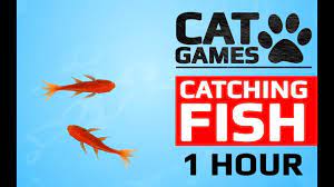 cat games catching fish 1 hour