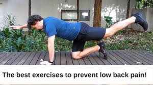 3 exercises to prevent low back pain