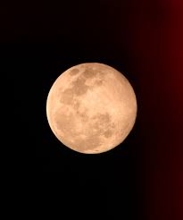 flower moon last supermoon of 2020