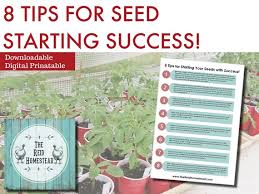 Indoor Seed Starting Guide Tips For