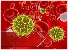 Ppt Blood Culture Powerpoint Presentation Free To