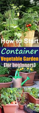 Starting A Container Vegetable Garden