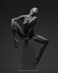 El desnudo artistico de Vadim Stein 