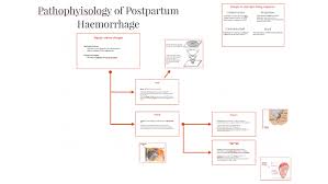 Pathophysiology Of Postpartum Haemorrhage By Paul Mcdowell