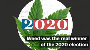 Vox - Weed was the real winner of the 2020 election | Facebook