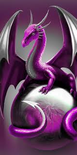 dragons wallpapers top 35 best dragon