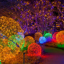 botanical garden christmas lights