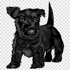Scottish Terrier Black Russian Terrier Puppy Jack Russell