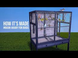 How To Build Indoor Aviary For Budgies