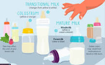 Is breast milk just blood?