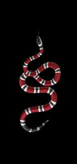 gucci snake hd phone wallpaper peakpx