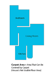 what is difference between carpet area
