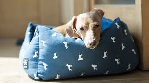 We've reviewed the top 8 dog beds on the market and give you the pros and cons of each. The Best Dog Beds For Chewers A Chew Proof Bed Round Up
