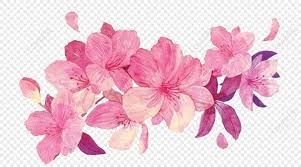 pink flowers png images with