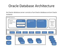 oracle database administration guide