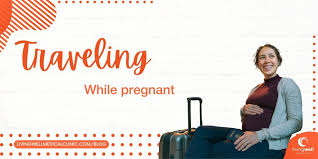 traveling while pregnant livingwell