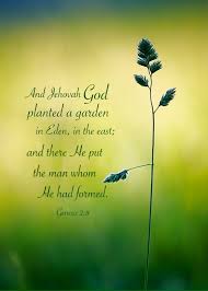 jehovah planted a garden in eden