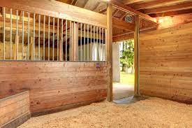 Horse Bedding Facts On Which Is Best