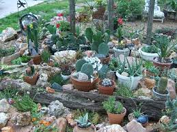 Another Cactus Garden Idea Rock