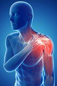 shoulder blade pain symptoms causes