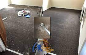 carpet cleaning dundee dundee s best