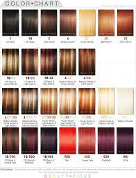 Natural Hair Color Chart Topsimages Makeup Trends Makeup