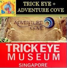 trick eye museum search results