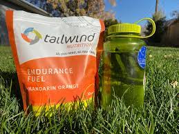 tailwind nutrition endurance fuel review