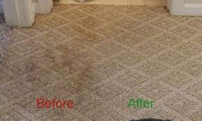 how to clean berber carpet in