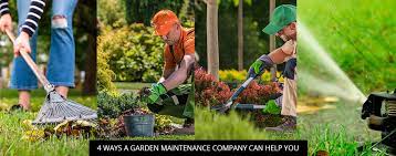 4 ways a garden maintenance company can