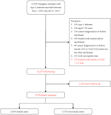 Flow Chart Of The Type 2 Diabetic Patients In The Study