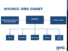 Nychcc Bp3 Review Marc Jean Mph Office Of Emergency