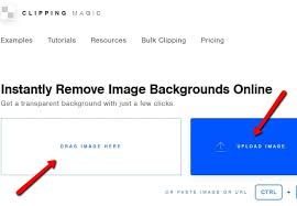 Automatic background remover online insert your own background : Best Online Photo Background Remover