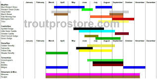 Fly Fishing Hatch Charts Trout Pro Store
