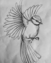 flying bird drawing pic drawing skill