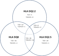 haplotype dq2 dq8 and celiac disease