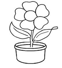 Bunga merupakan salah satu objek yang sangat menarik untuk diabadikan terlebih ketika sedang mekar. Sketsa Gambar Mewarnai Bunga Matahari Mewarnai Gambar