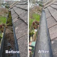 Gutter Cleaning Colchester Local Low