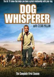 A star of national geographic channel's hit show dog whisperer with cesar millan, this guy is amazing. Dog Whisperer With Cesar Millan The Complete Fir Amazon De Dvd Blu Ray