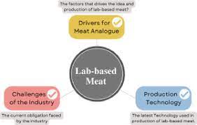 lab based meat the future food