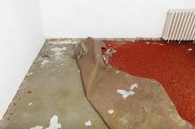 do landlords need to replace carpets