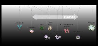 Cytoflex Nanoparticle Detection