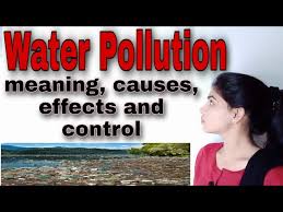 water pollution meaning causes