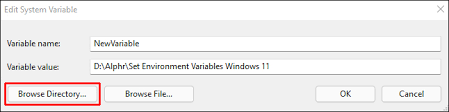 set environment variables in windows 11