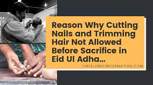cutting nails and t hair before