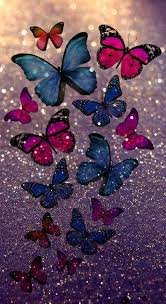 erflies glitter colourful hd