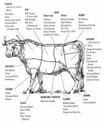 all about meat precision nutrition