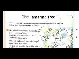 cl 3 poem the tamarind tree