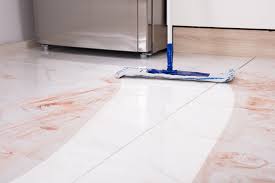 tile and grout cleaning in warren mi